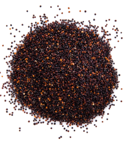 Mustard Seeds (Sarson/Rai)
