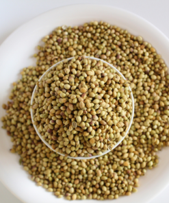 Coriander Seeds (Dhaniya) 100 gm