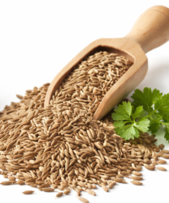 Cumin Seeds (Jeera) 100 gm