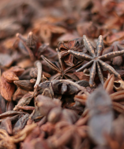 Star Anise 100 gm